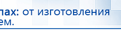 Электрод Скэнар - лицевой двойной Пешки купить в Отрадном, Электроды Скэнар купить в Отрадном, Скэнар официальный сайт - denasvertebra.ru